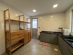 Serangoon Garden Estate (D19), Terrace #586889851